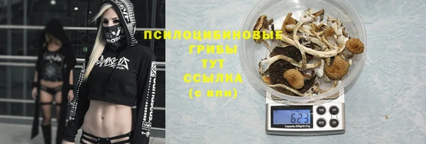прущая мука Абдулино