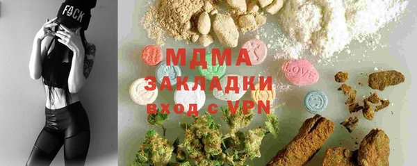 прущие грибы Рославль