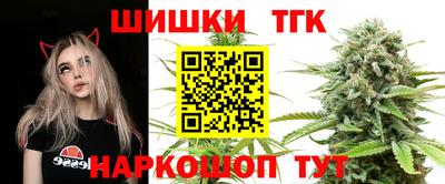 прущие грибы Моздок