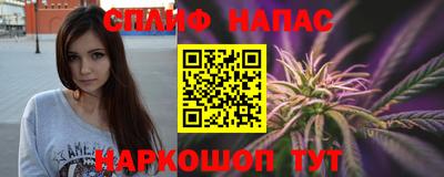 прущие грибы Моздок
