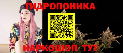 МДМА Можга